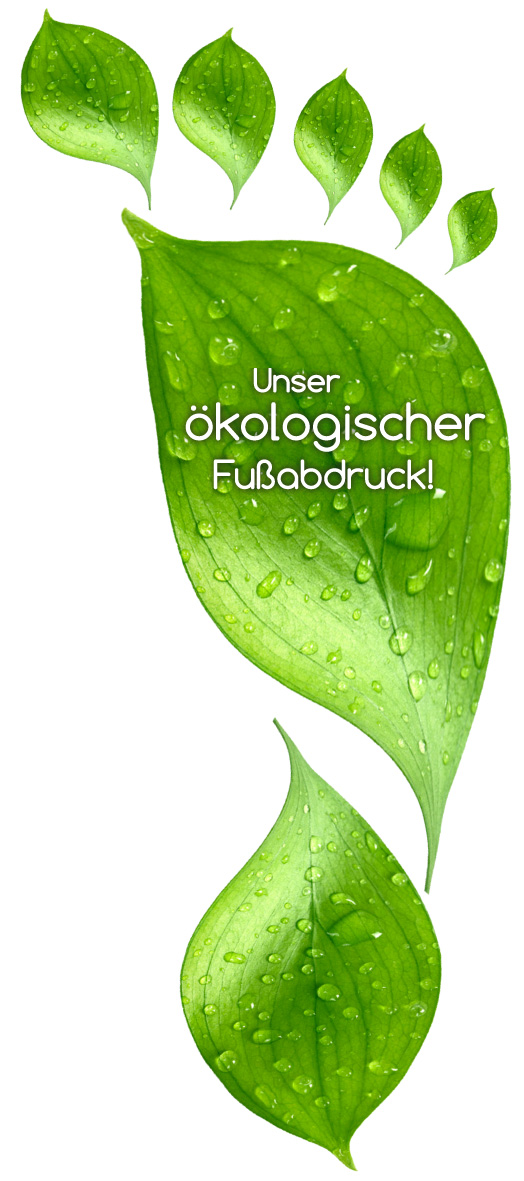 Nachhaltigkeit mit EU ECOLABEL Falthandtücher 1 lagig grün