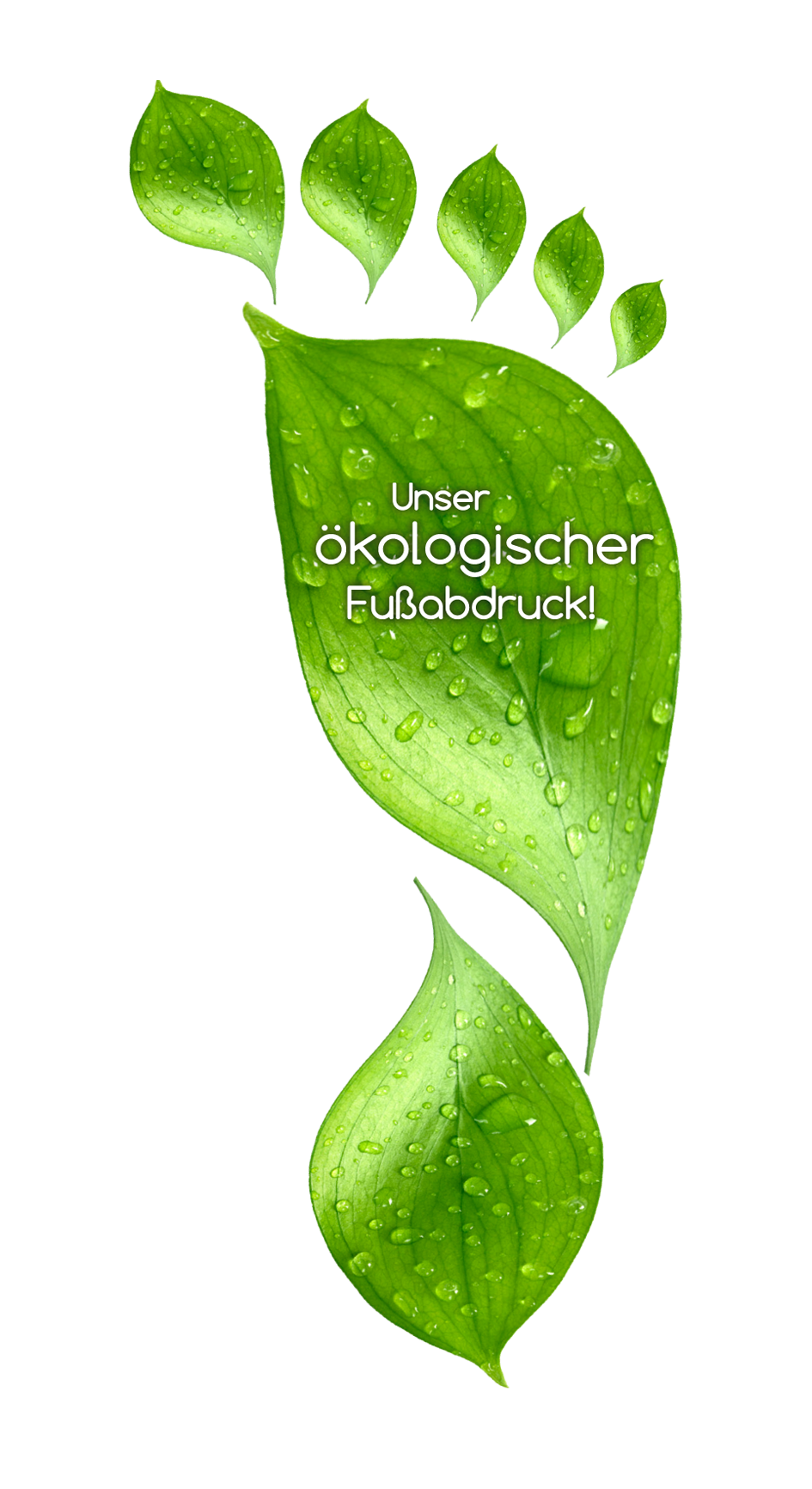 Küchenrollen 3 lagig 51 Blatt ökologischer Fußabdruck EU Ecolabel Musterversand